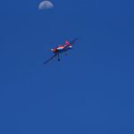 HRF_4169