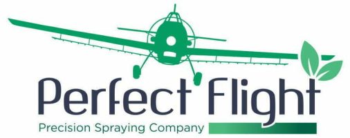 Logo Perfect Flight